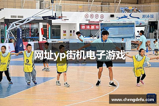 网址yp街机电子游戏